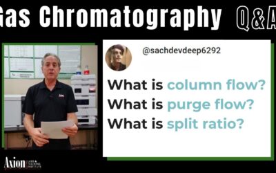 In gas chromatography what is column flow, purge flow, split ratio?