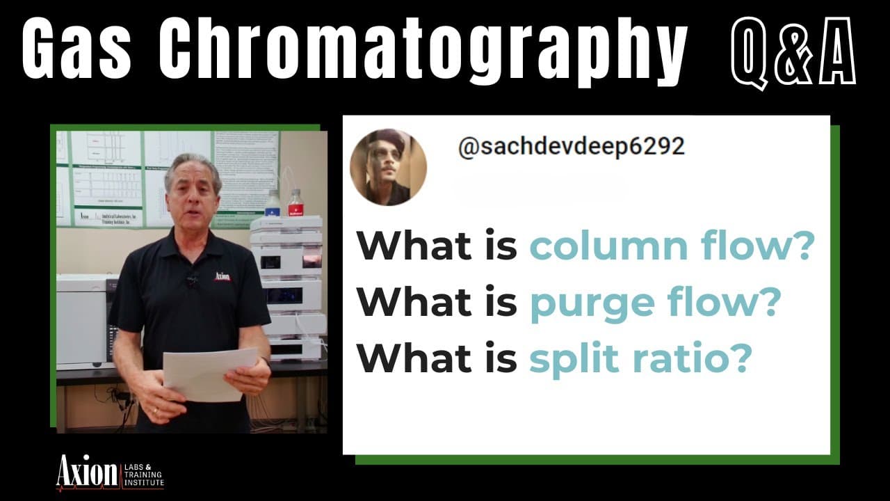 In gas chromatography what is column flow, purge flow, split ratio?