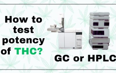 How to Test THC Potency – GC or HPLC?